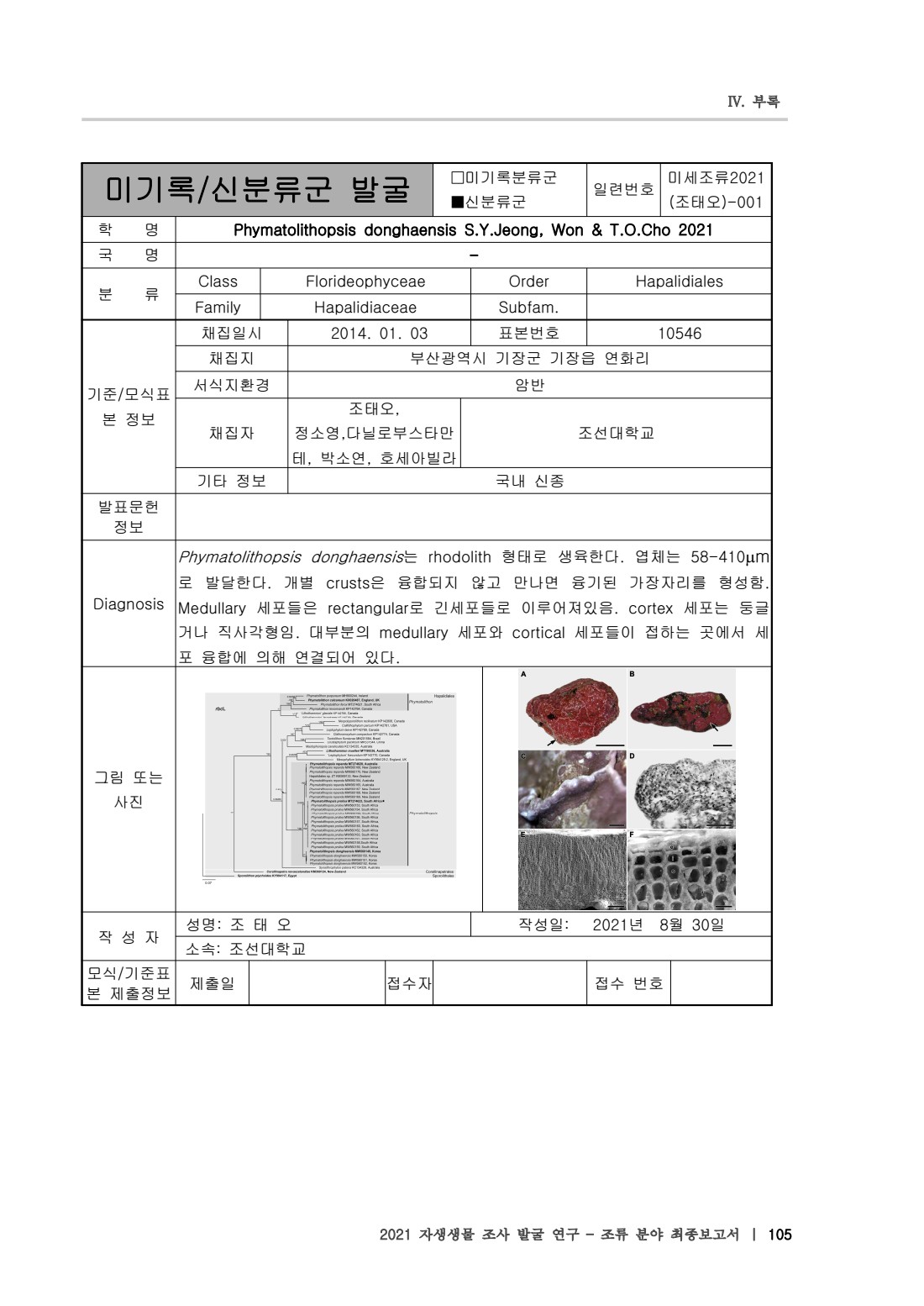 페이지