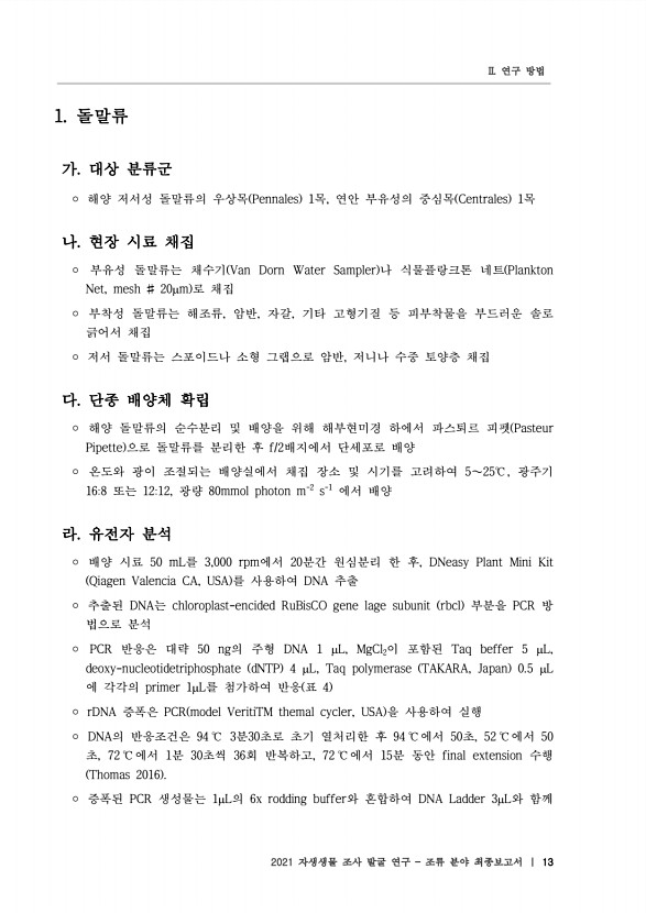 13페이지