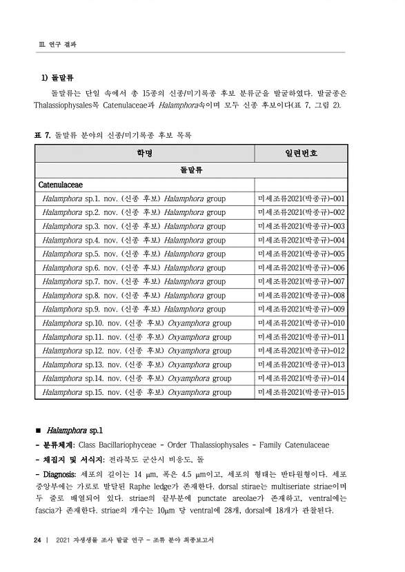 24페이지