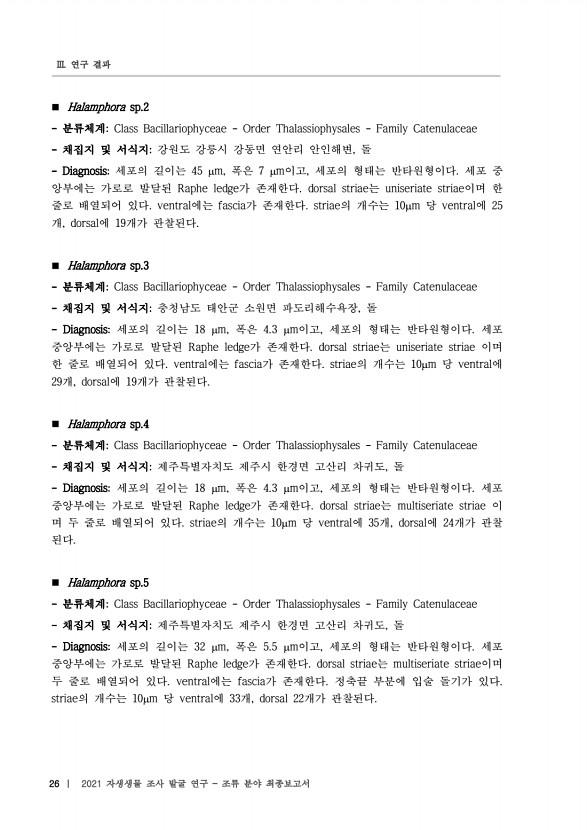 26페이지