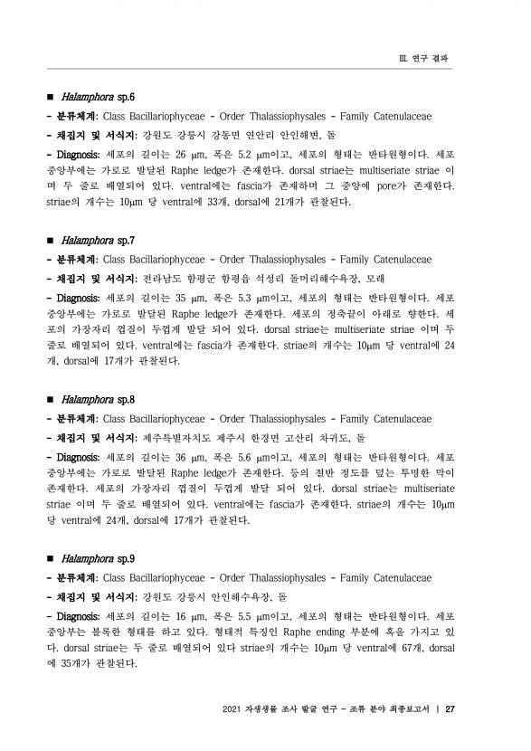 27페이지