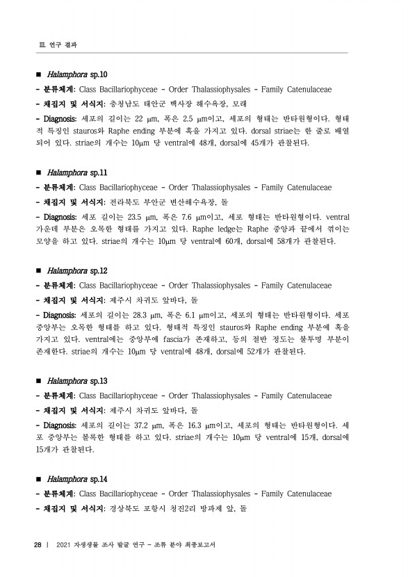 28페이지