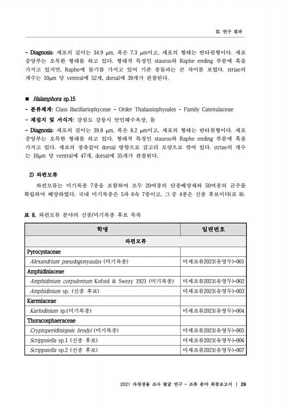 29페이지