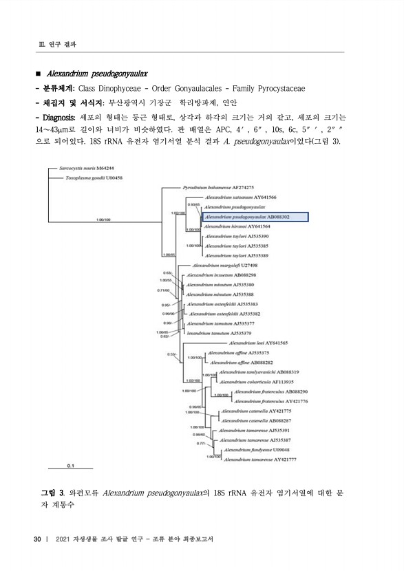 30페이지