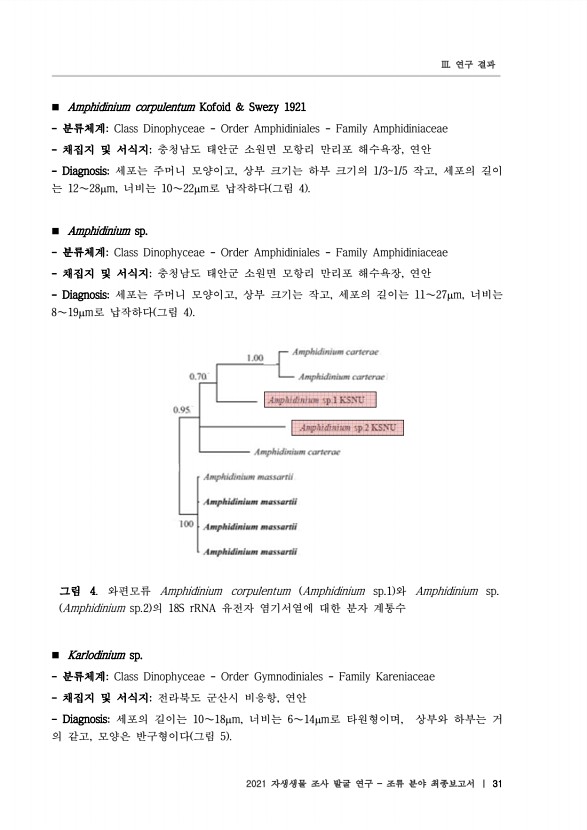31페이지