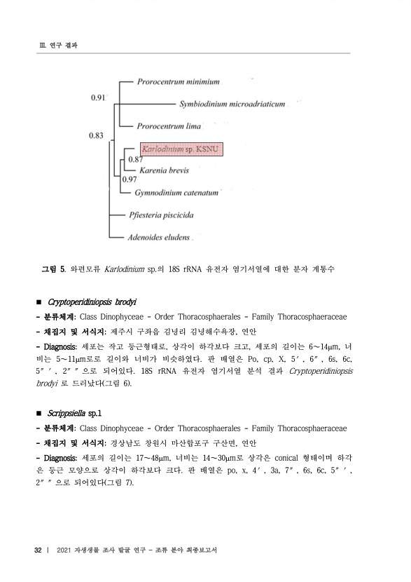 32페이지