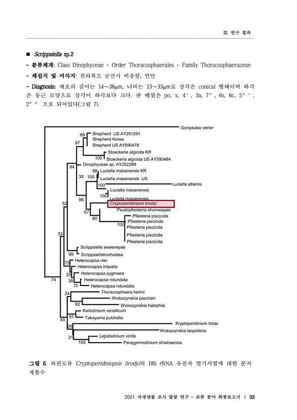 33페이지