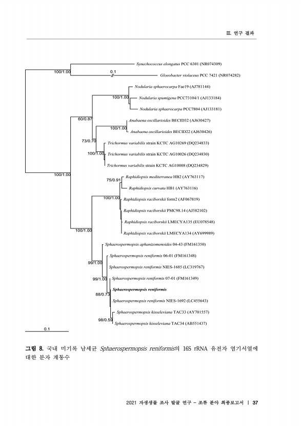 37페이지