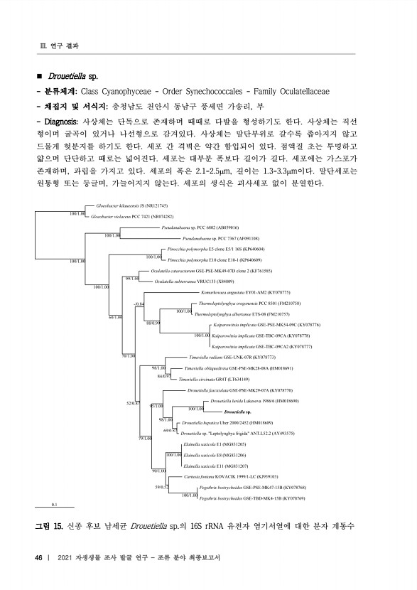 46페이지