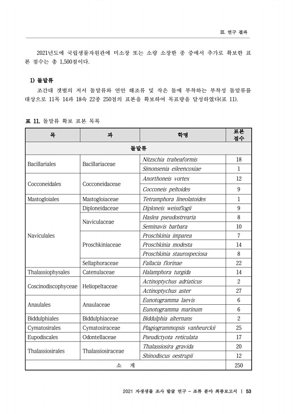 53페이지