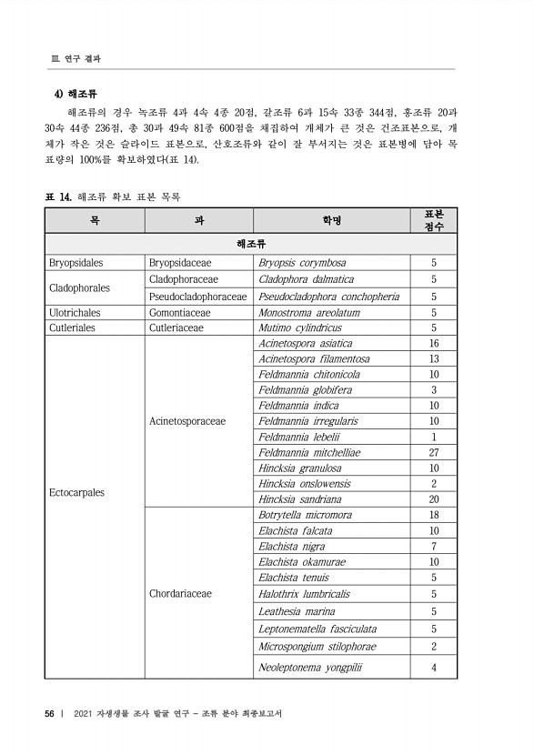56페이지