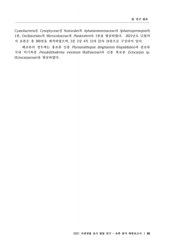 65페이지