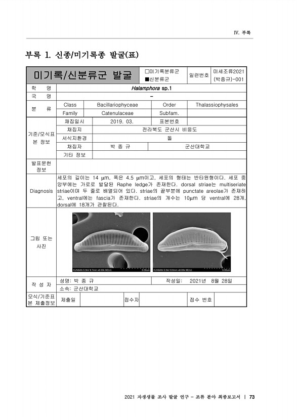 73페이지