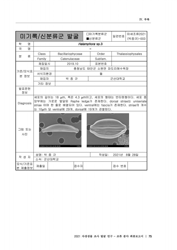 75페이지