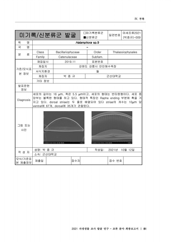 81페이지