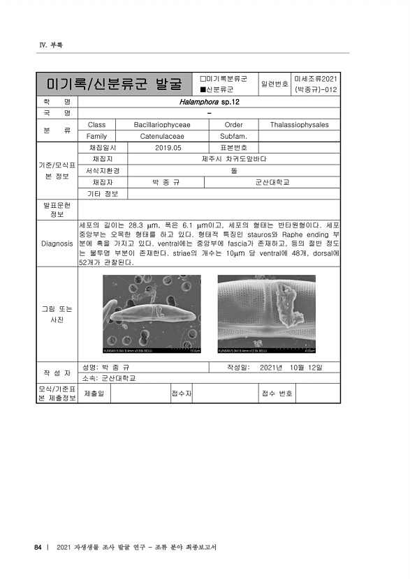 84페이지