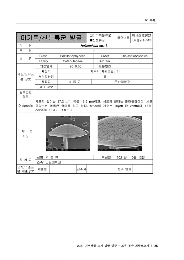 85페이지