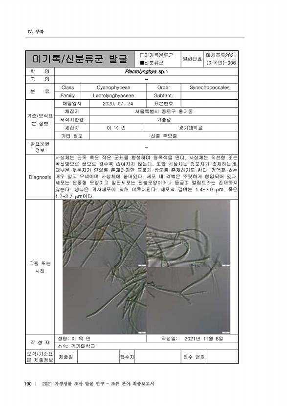 100페이지