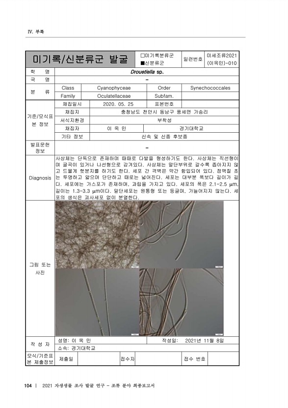 104페이지