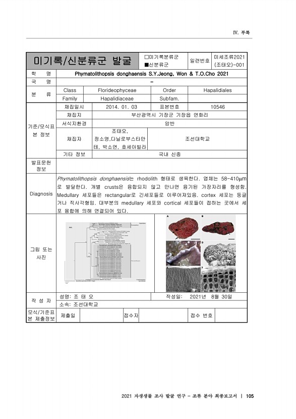 105페이지