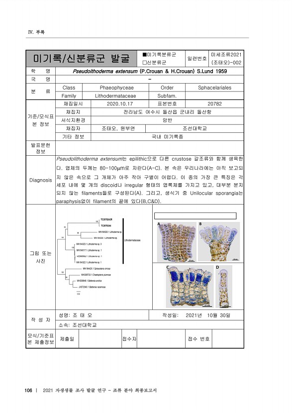 106페이지
