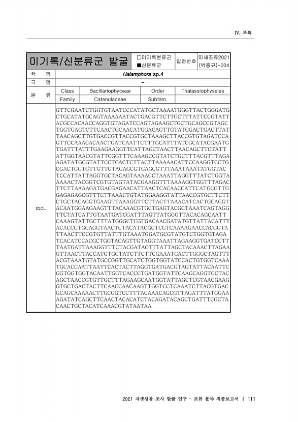 111페이지