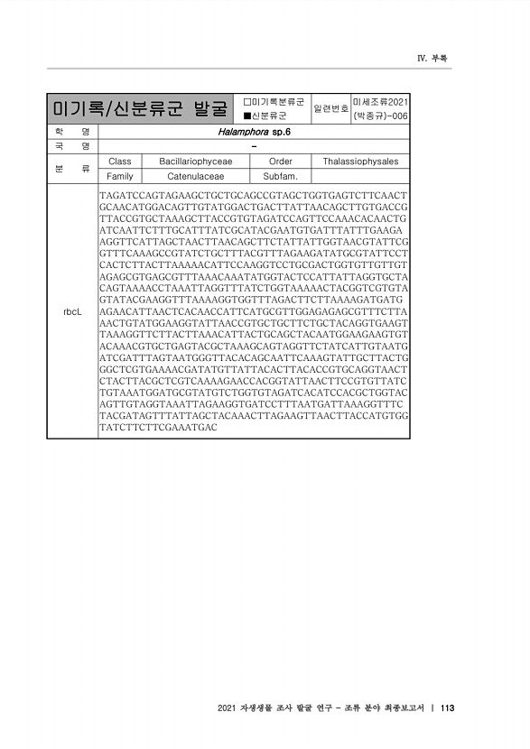 113페이지