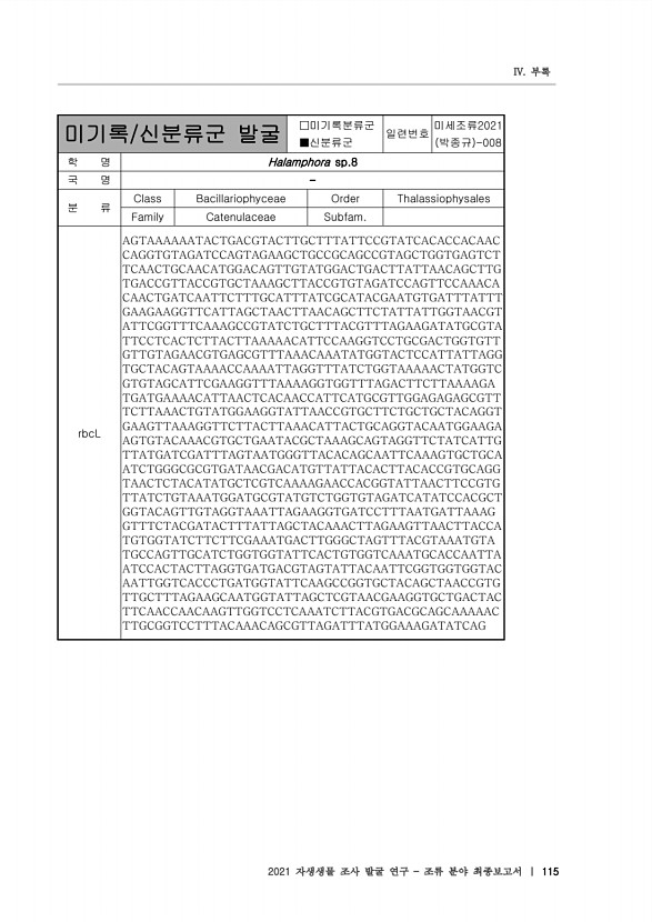 115페이지
