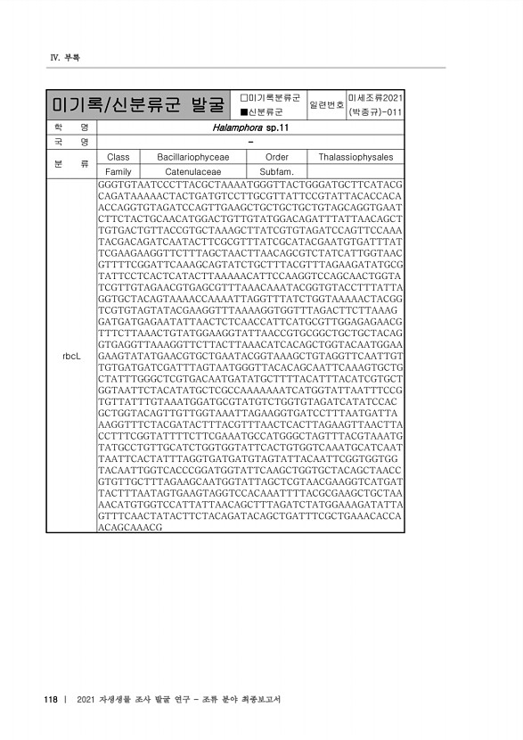 118페이지