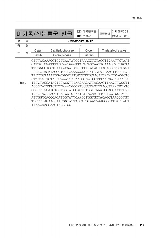 119페이지