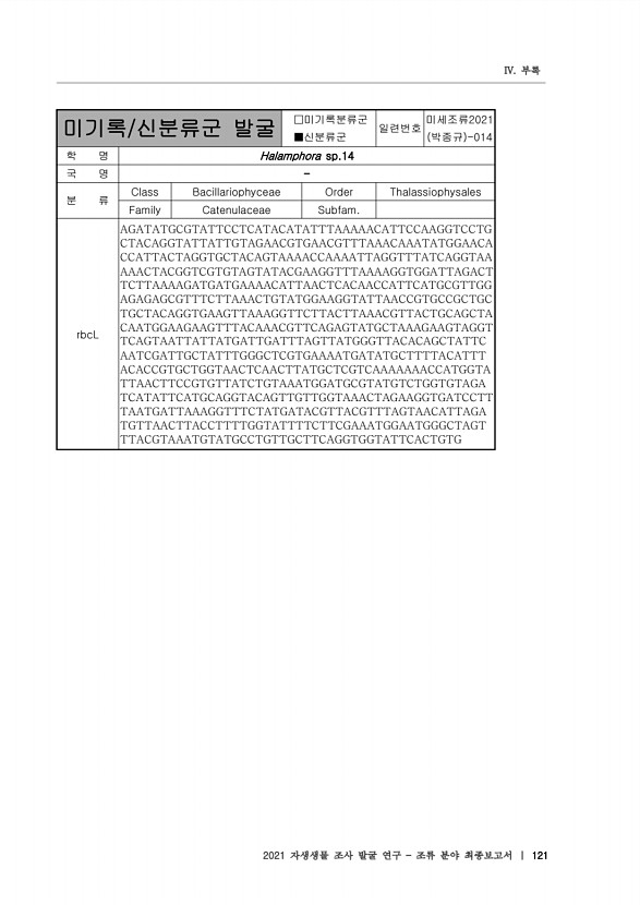 121페이지