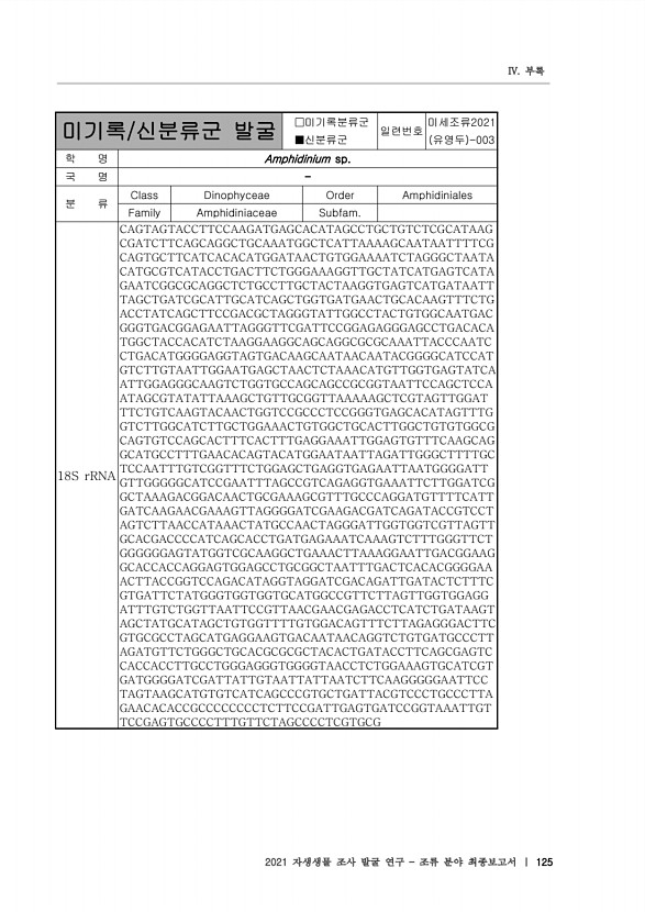 125페이지