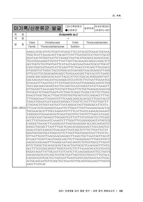 129페이지