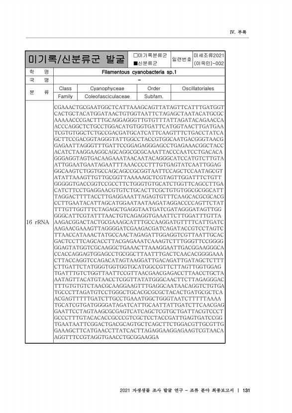 131페이지