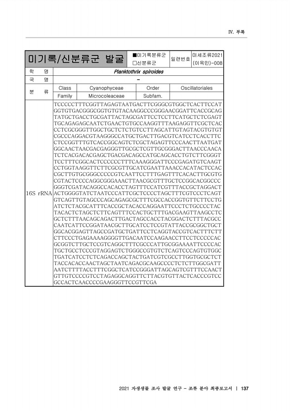 137페이지