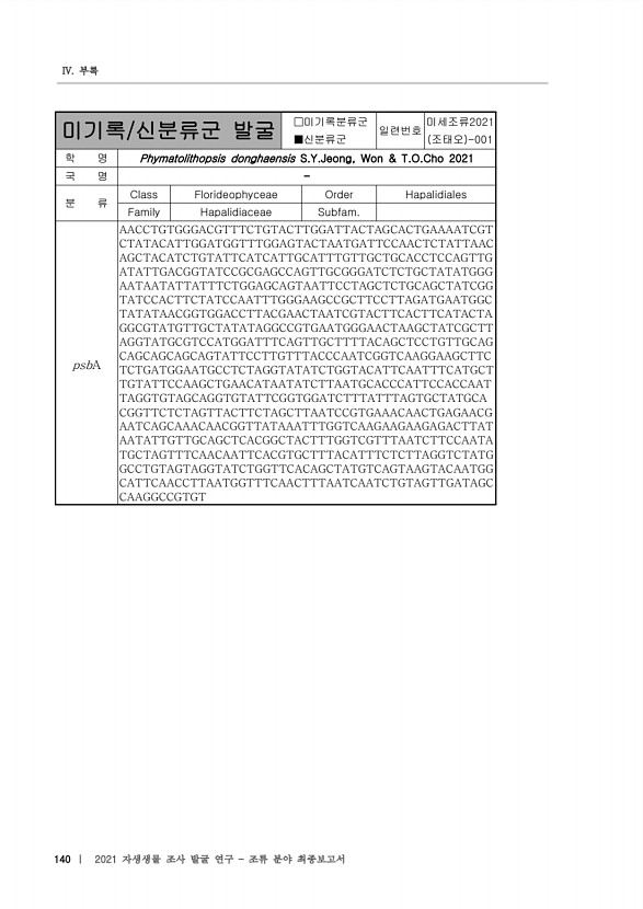 140페이지