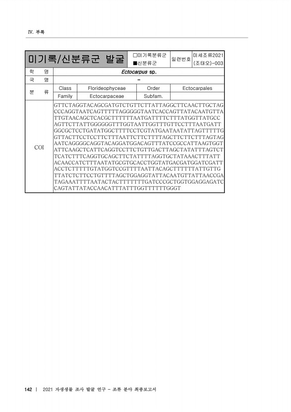 142페이지