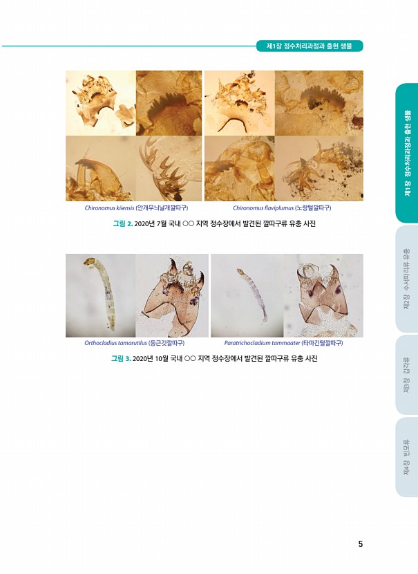 5페이지