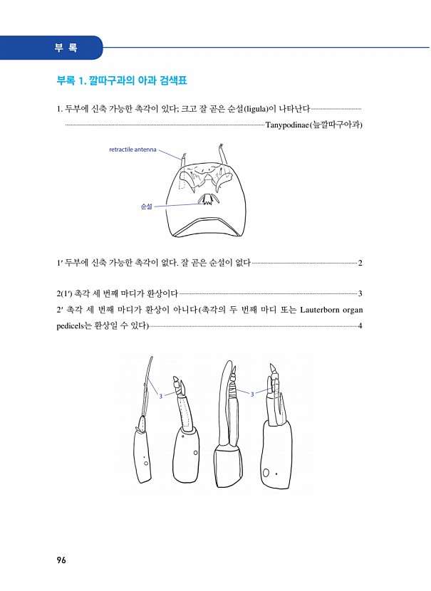 96페이지