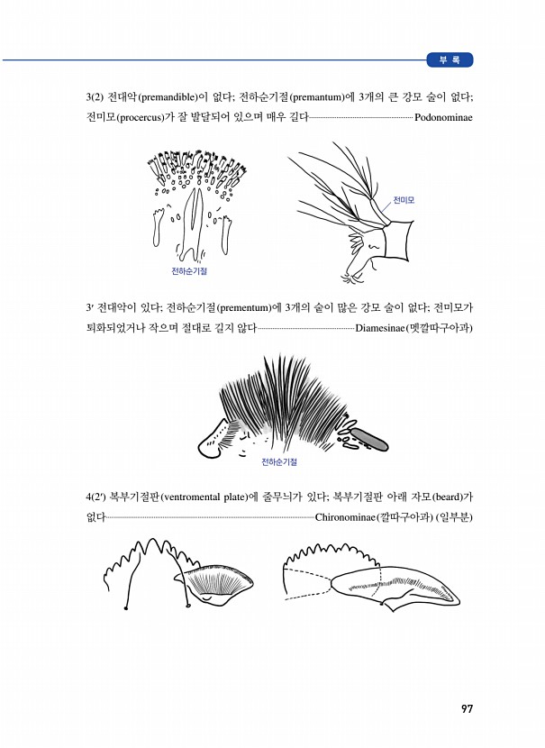 97페이지
