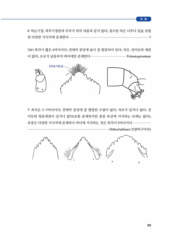 99페이지