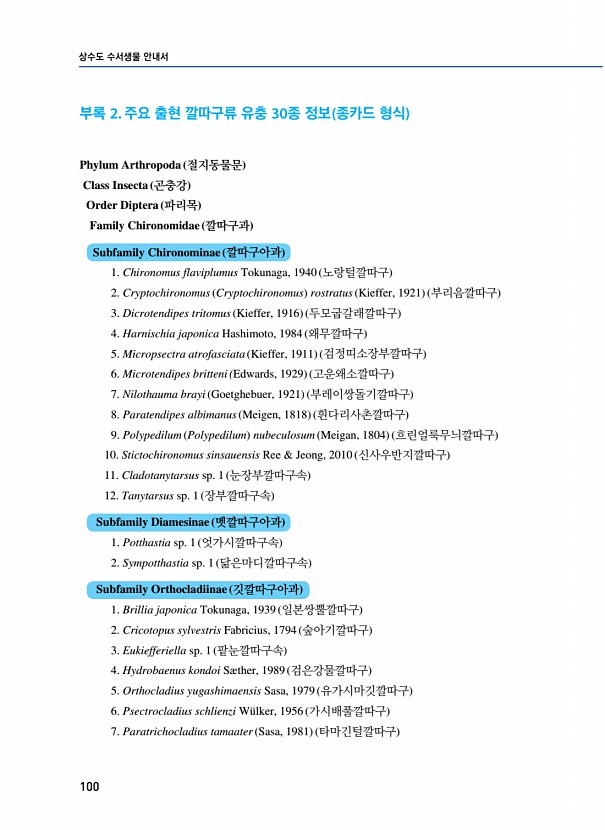 100페이지