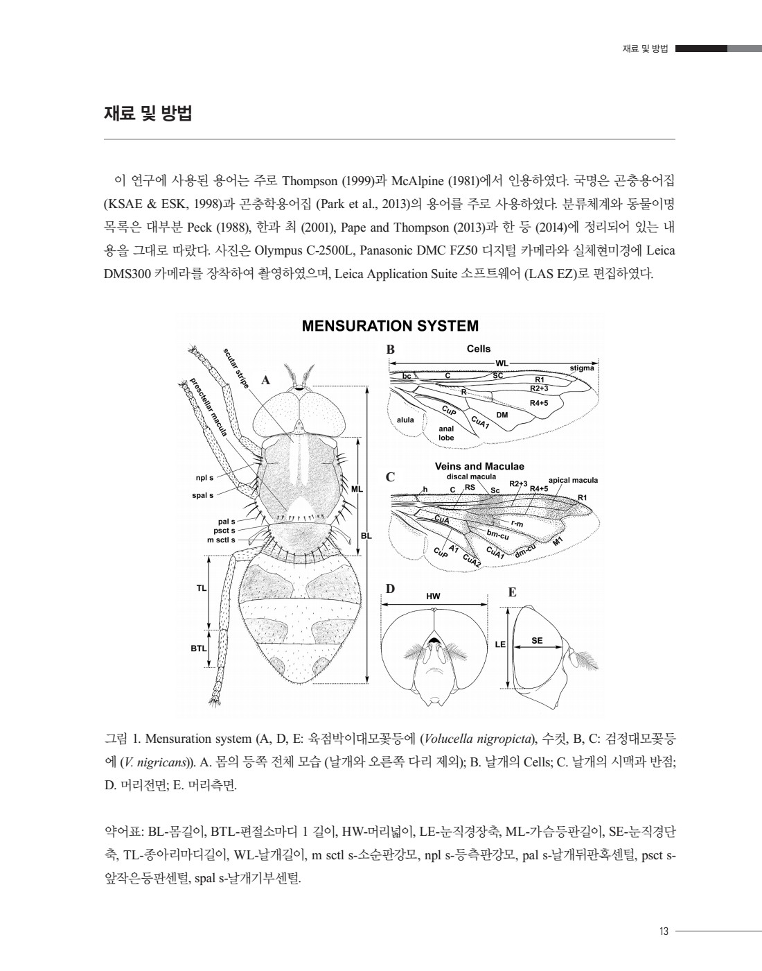 페이지