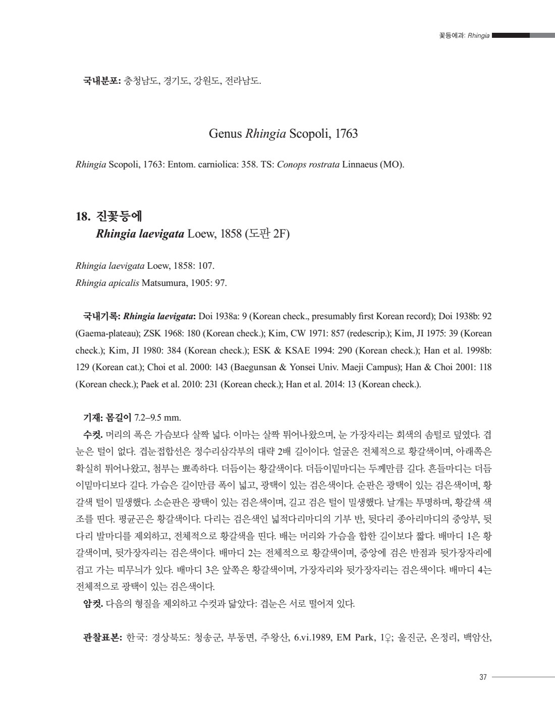 페이지