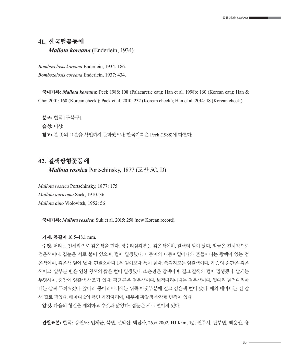 페이지
