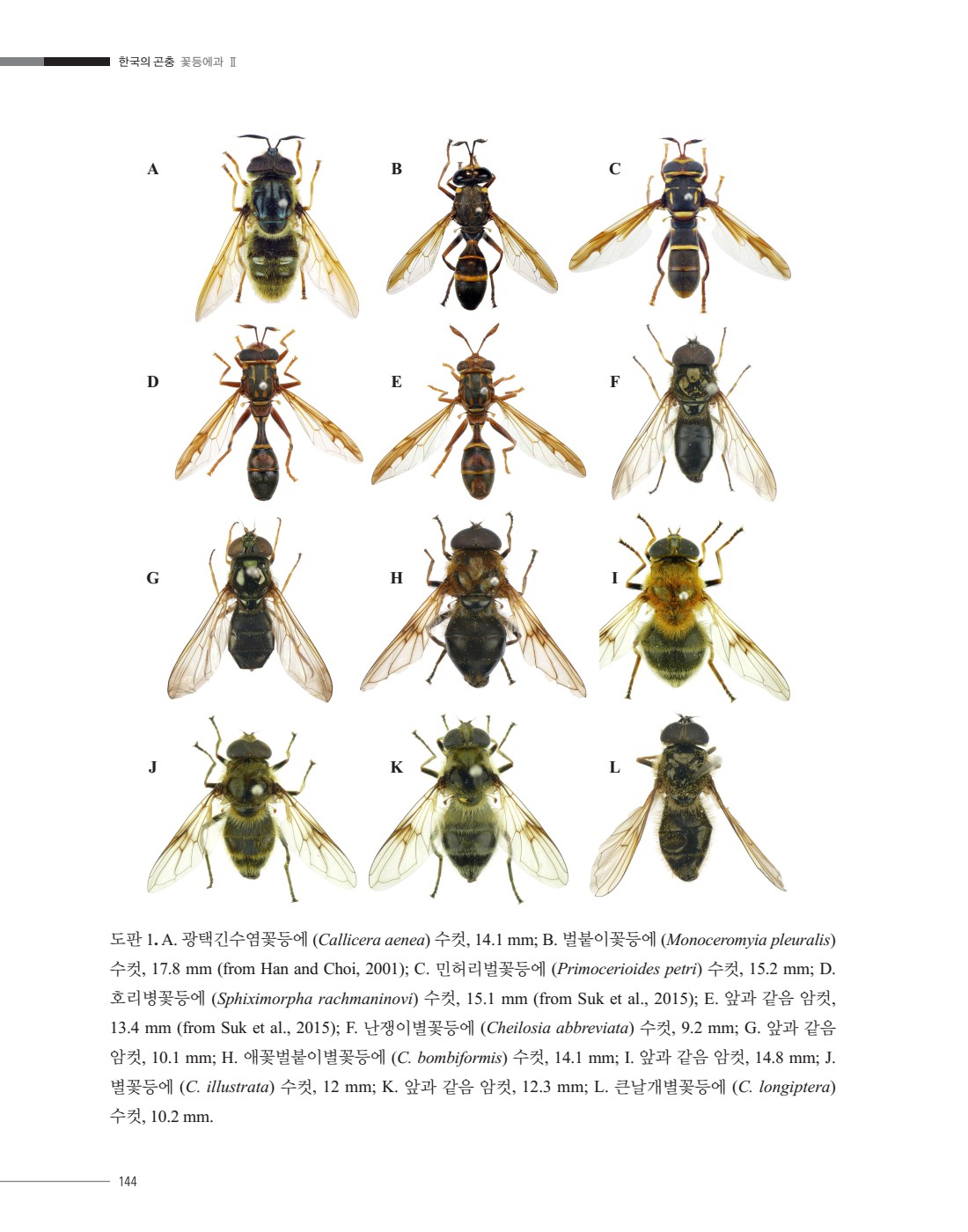 페이지