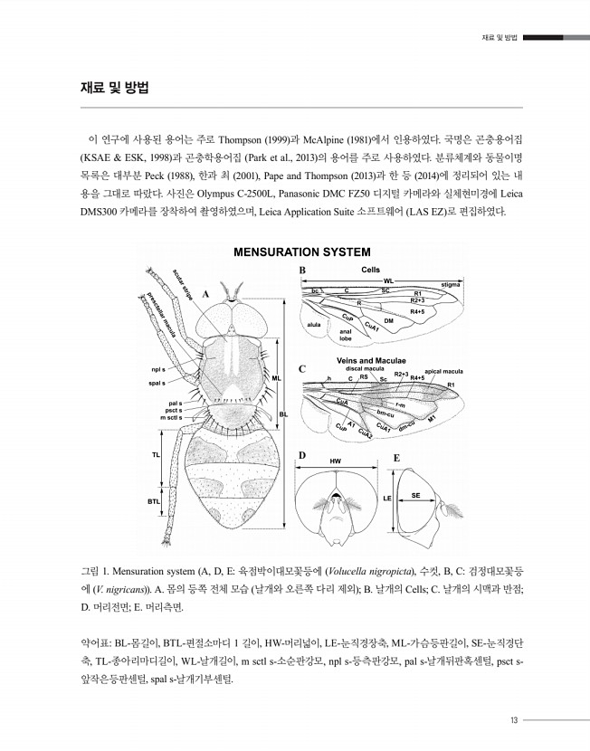 13페이지