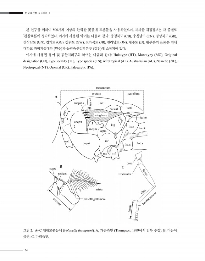 14페이지