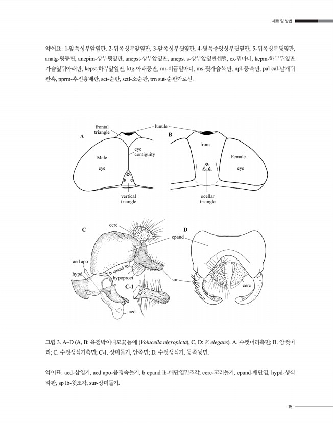 15페이지