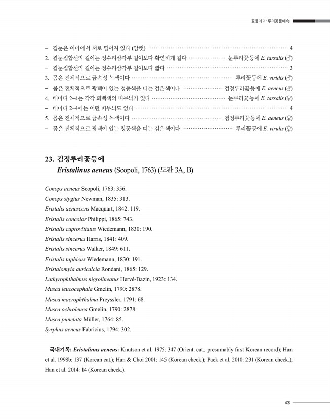 43페이지